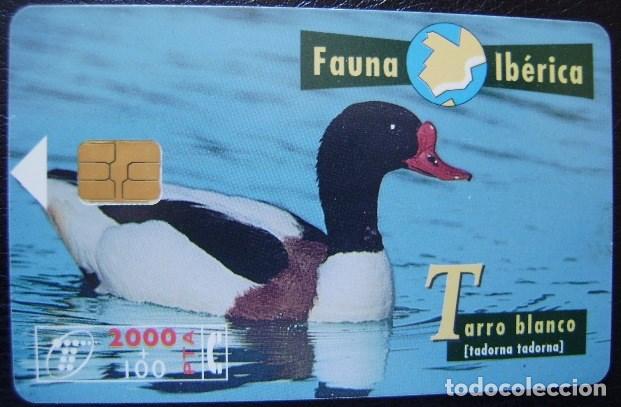 Cartes T&eacute;l&eacute;phoniques de collection: B 74 TARRO BLANCO - USADA 1&ordf; CALIDAD   - A 335