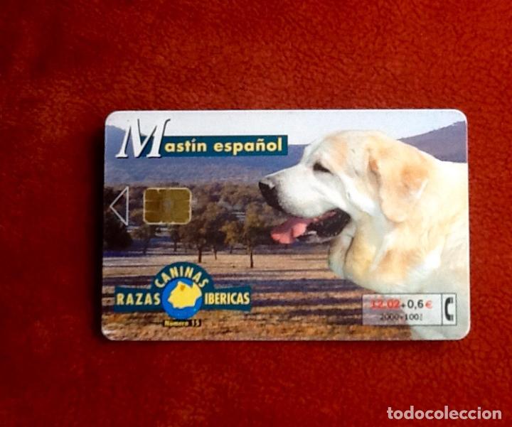 Cartes T&eacute;l&eacute;phoniques de collection: TARJETA TELEFONICA. MASTIN ESPA&Ntilde;OL. PESETAS-EUROS.. EL ENVIO ESTA INCLUIDO.