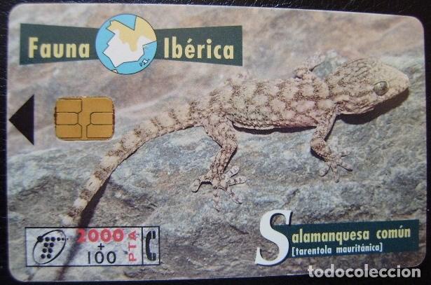 Cart&otilde;es de telefone de cole&ccedil;&atilde;o: B 77 SALANDRA - USADA 1&ordf; CALIDAD   - A 338