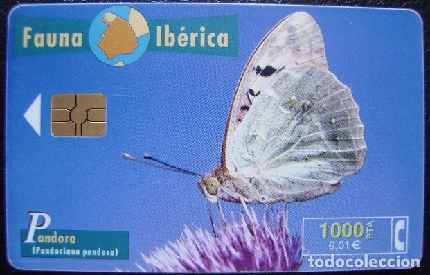 Sammlung von Telefonkarten: B 82/A MARIPOSA PANDORA CHIP G 3R - USADA 1&ordf; CALDAD - A 345
