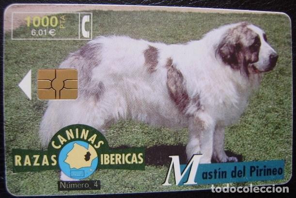 Sammlung von Telefonkarten: B 83A MASTIN DEL PIRINEO CHIP G 3R - USADA 1&ordf; CALDAD - A 346