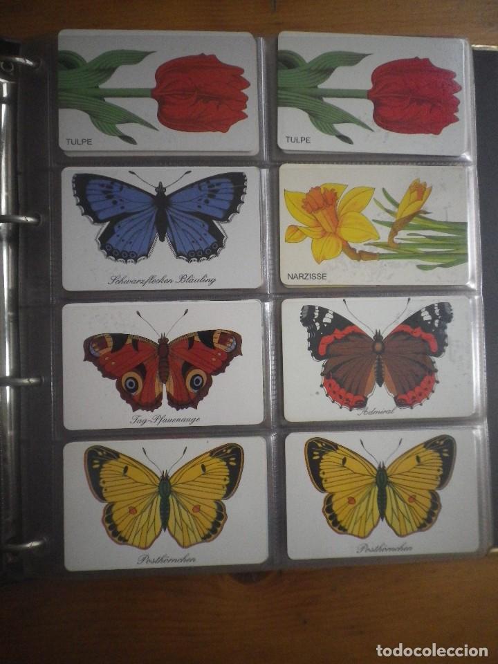 Tarjetas telef&oacute;nicas de colecci&oacute;n: 8 FLORES Y MARIPOSAS