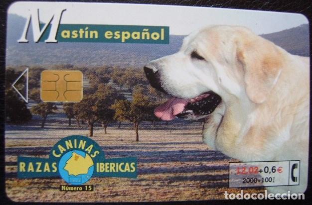 Sammlung von Telefonkarten: B 91 MASTIN ESPA&Ntilde;OL  - USADA 1&ordf; CALIDAD - A 355