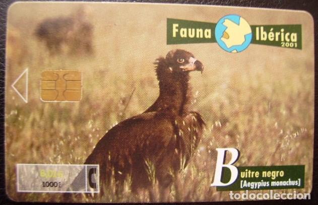 Sammlung von Telefonkarten: B 92 BUITRE NEGRO - USADA 1&ordf; CALIDAD - A 356