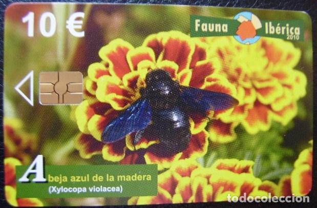 Sammlung von Telefonkarten: B ... ABEJA - USADA 1&ordf; CALIDAD  - A 359