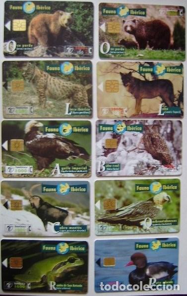 Tarjetas telef&oacute;nicas de colecci&oacute;n: FAUNA IBERICA - LOTE 1 - 10 TARJETAS DIFERENTES - USADA 1&ordf; CALIDAD - A 377