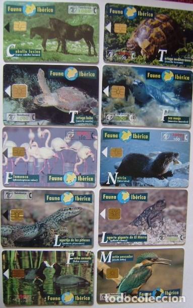 Tarjetas telef&oacute;nicas de colecci&oacute;n: FAUNA IBERICA - LOTE 2 - 10 TARJETAS DIFERENTES - USADA 1&ordf; CALIDAD - A 378