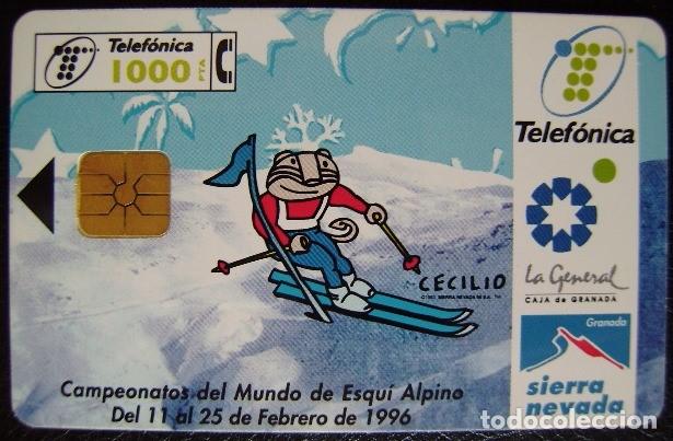 Tarjetas telef&oacute;nicas de colecci&oacute;n: CAMP. MUNDO DE ESQUI ( CECILIO ) - CP 77 - USADAS 1&ordf; CALIDAD - A 440