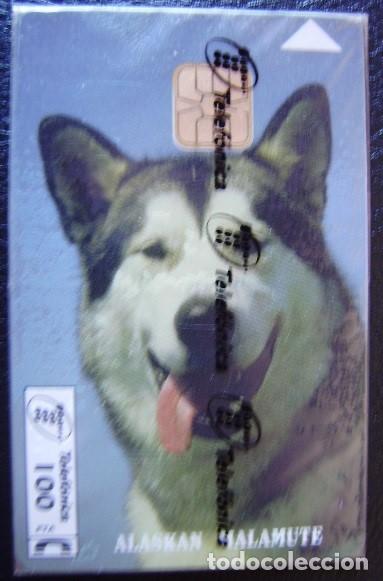 Sammlung von Telefonkarten: ALASKAN MALAMUTE - P 129 - USADA 1&ordf; CALIDAD - A545