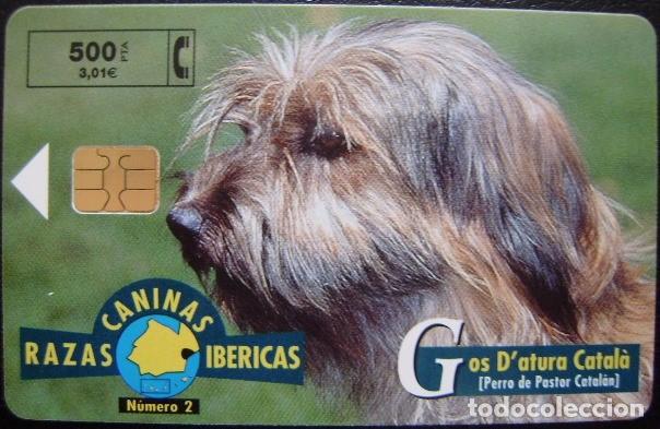 Sammlung von Telefonkarten: RAZAS CANINAS - N&ordm;2 PRESA CATALAN - P 394 - USADAS 1&ordf; CALIDAD -  - A640