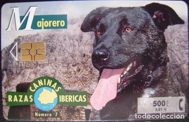 Tarjetas telef&oacute;nicas de colecci&oacute;n: RAZAS CANINAS N&ordm;7 - MAJORERO - P425 - USADAS 1&ordf; CALIDAD - A650