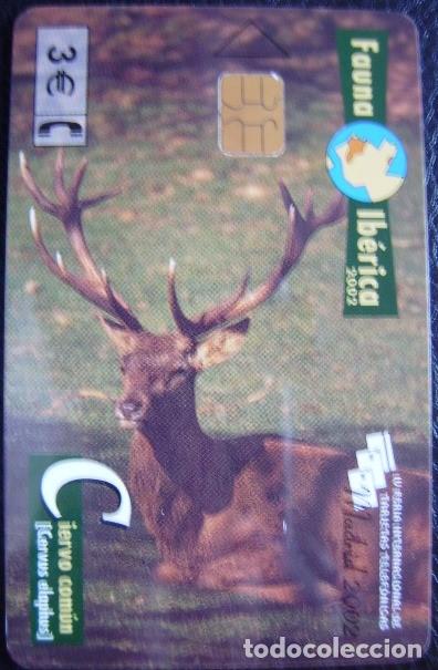 Tarjetas telef&oacute;nicas de colecci&oacute;n: FAUNA IBERICA - CIERVO - USADAS 1&ordf; CALIDAD - A680