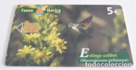 Tarjetas telef&oacute;nicas de colecci&oacute;n: TARJETA TELEF&Oacute;NICA DE ESPA&Ntilde;A