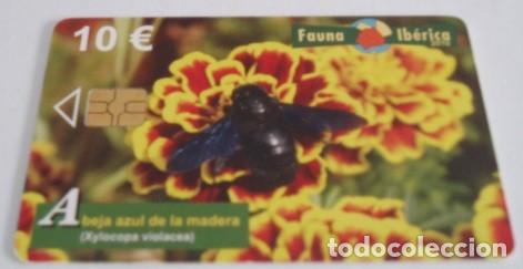 Tarjetas telef&oacute;nicas de colecci&oacute;n: TARJETA TELEF&Oacute;NICA DE ESPA&Ntilde;A