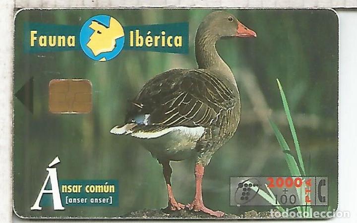 Tarjetas telef&oacute;nicas de colecci&oacute;n: ANSAR COMUN DUCK AVE