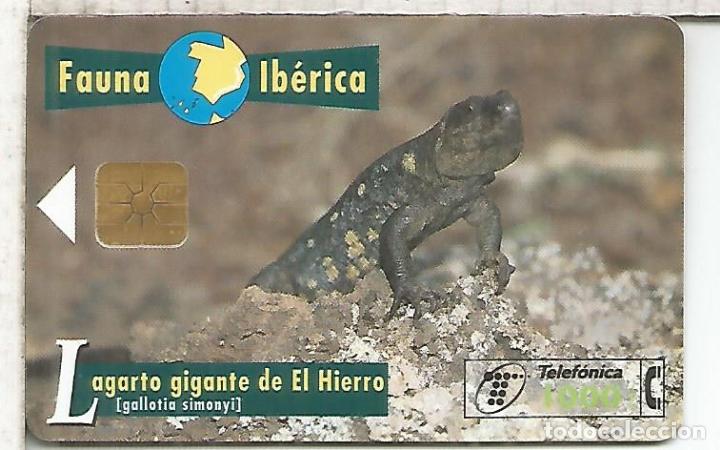 Tarjetas telef&oacute;nicas de colecci&oacute;n: LAGARTO DEL HIERRO LIZARD