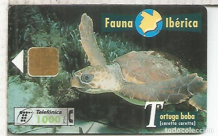 Tarjetas telef&oacute;nicas de colecci&oacute;n: TORTUGA BOBA TURTLE