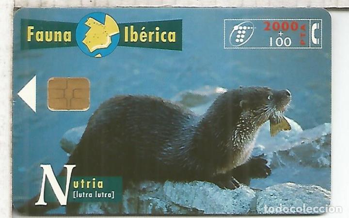 Tarjetas telef&oacute;nicas de colecci&oacute;n: NUTRIA OTTER