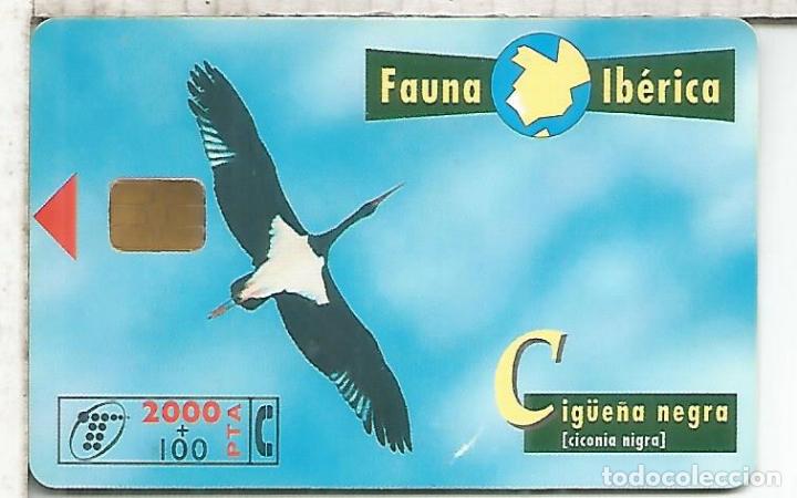 Tarjetas telef&oacute;nicas de colecci&oacute;n: CIG&Uuml;E&Ntilde;A BLANCA AVE STORK
