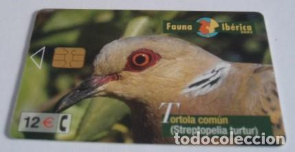 Collection telephone cards: TARJETA TELEF&Oacute;NICA DE ESPA&Ntilde;A