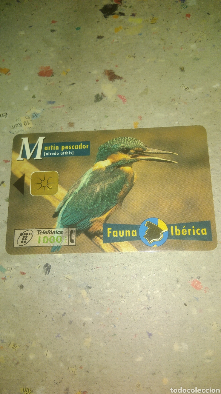 Collection telephone cards: Tarjeta telefonica. Serie fauna espa&ntilde;ola. Mart&iacute;n pescador.
