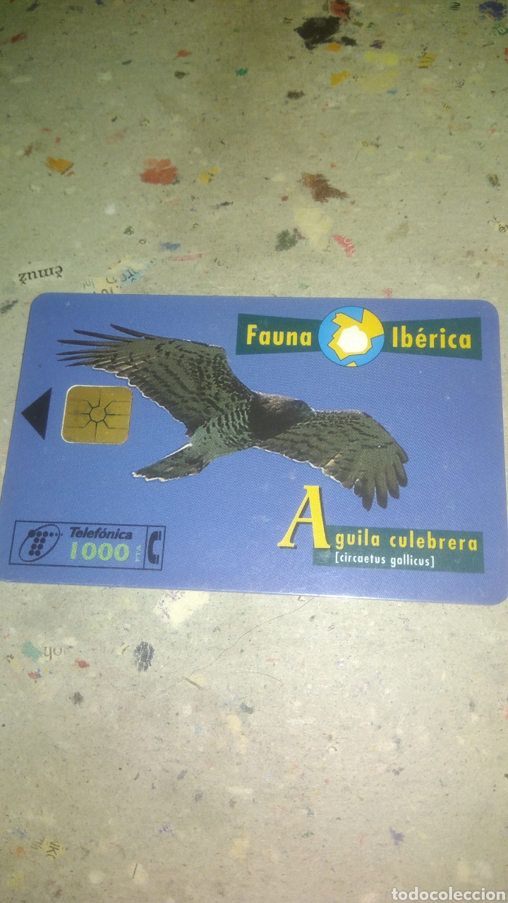 Collection telephone cards: Tarjetas telefonica. Serie fauna Ib&eacute;rica. &Aacute;guila culebrera