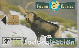 Collection telephone cards: Fauna ib&eacute;rica. Cabra mont&eacute;s.