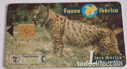 Collection telephone cards: TARJETA TELEFONICA DE ESPA&Ntilde;A