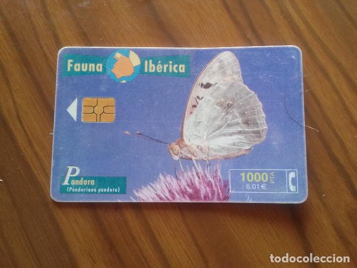 Cartes T&eacute;l&eacute;phoniques de collection: TARJETA TELEF&Oacute;NICA. FAUNA IB&Eacute;RICA. PAUDORA. MARIPOSA. BUEN ESTADO PERO DEGASTADA Y DOBLADA