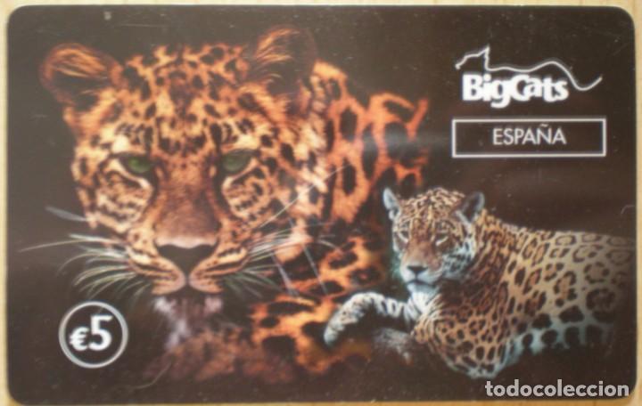 Tarjetas telef&oacute;nicas de colecci&oacute;n: TARJETA PREPAGO BIGCATS - TIGRE - USADA - A832