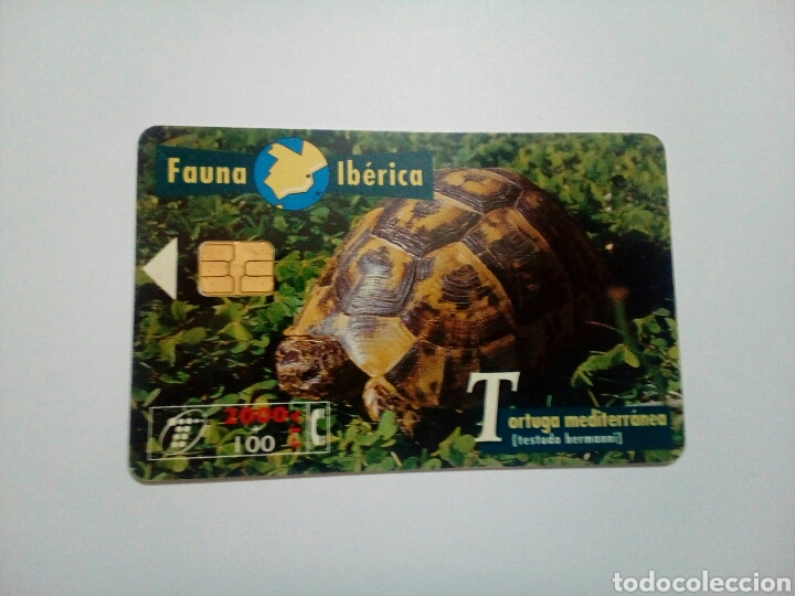 Tarjetas telef&oacute;nicas de colecci&oacute;n: Tarjeta Telef&oacute;nica - Foto 1