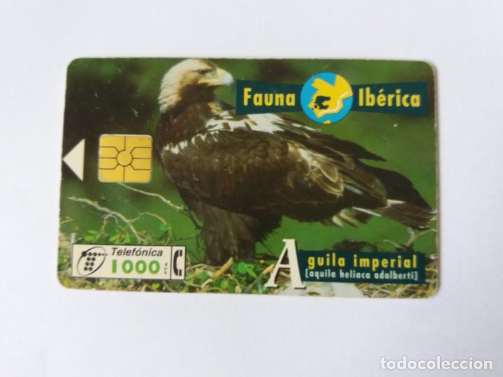 tarjeta telefonica - fauna iberica - aguila im - Compra venta en  todocoleccion