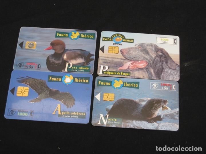 Tarjetas telef&oacute;nicas de colecci&oacute;n: 12 tarjetas telefonicas - Foto 4