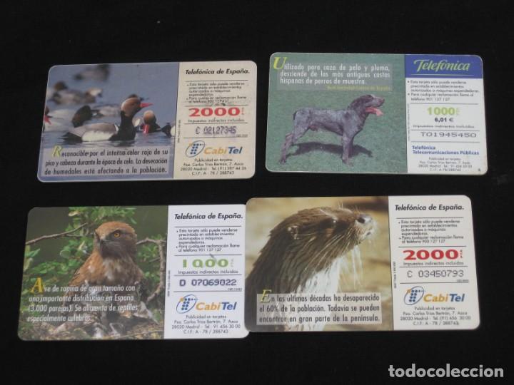 Tarjetas telef&oacute;nicas de colecci&oacute;n: 12 tarjetas telefonicas - Foto 6