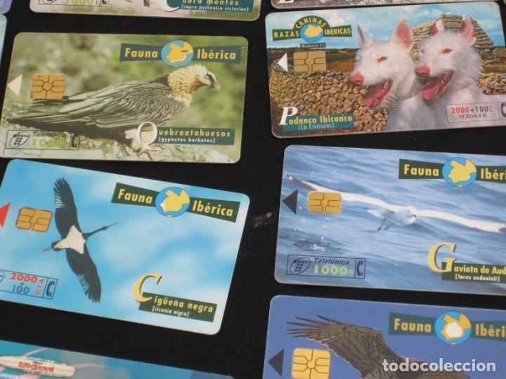 Tarjetas telef&oacute;nicas de colecci&oacute;n: 42 tarjetas telefonicas. - Foto 7