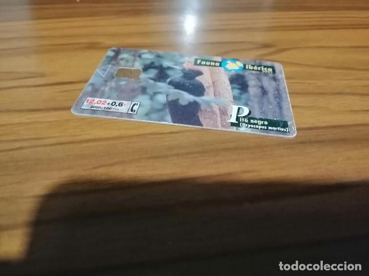 Sammlung von Telefonkarten: FAUNA IB&Eacute;RICA. TARJETA TELEF&Oacute;NICA. BUEN ESTADO