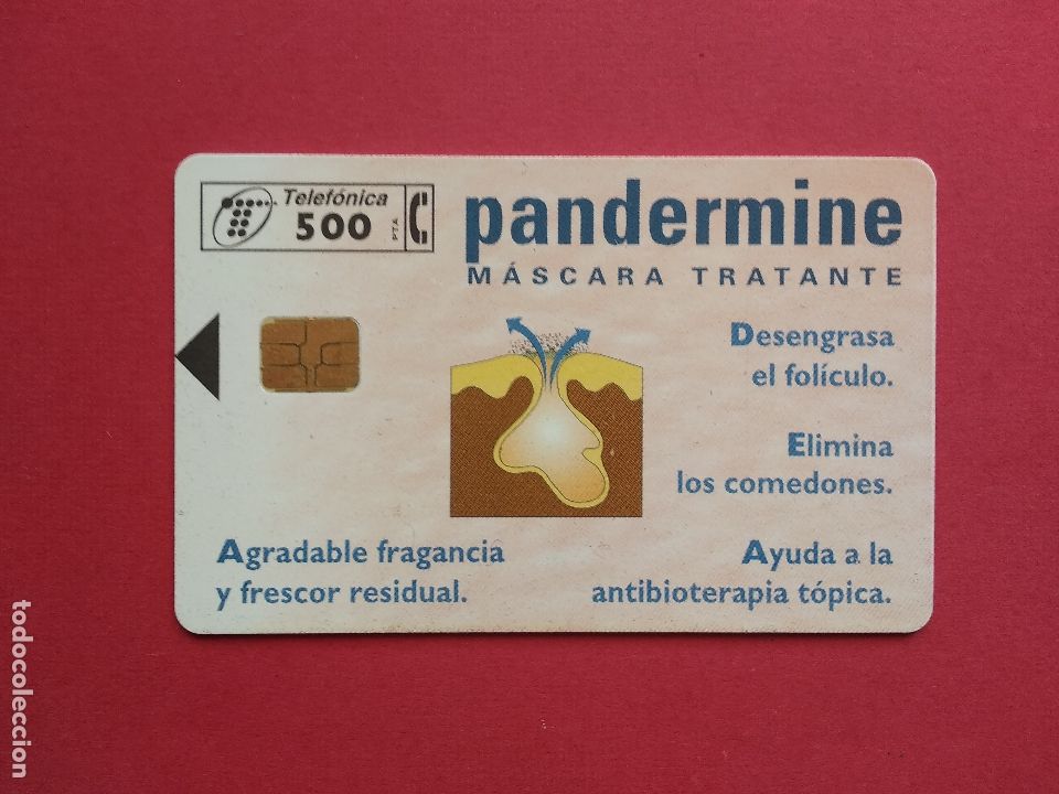 Collection telephone cards: TARJETA TELEFONICA DE ESPA&Ntilde;A USADA P - 248 PANDERMINE 03/97