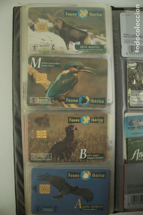 Carte telefoniche di collezione: 30 TARJETAS TELEF&Oacute;NICAS FAUNA DISTINTAS