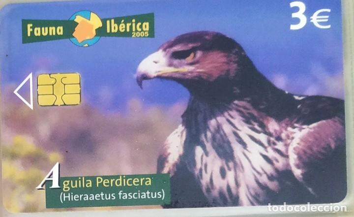 tarjetas telefonicas fauna iberica aguila perdi - Compra venta en  todocoleccion