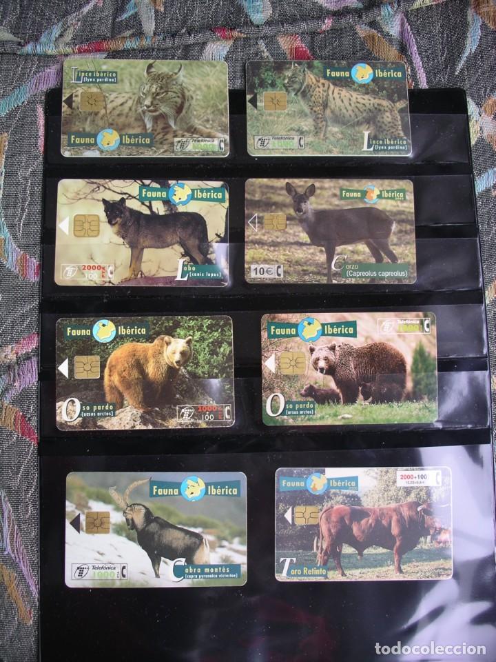 Tarjetas telef&oacute;nicas de colecci&oacute;n: Mamiferos - Foto 1