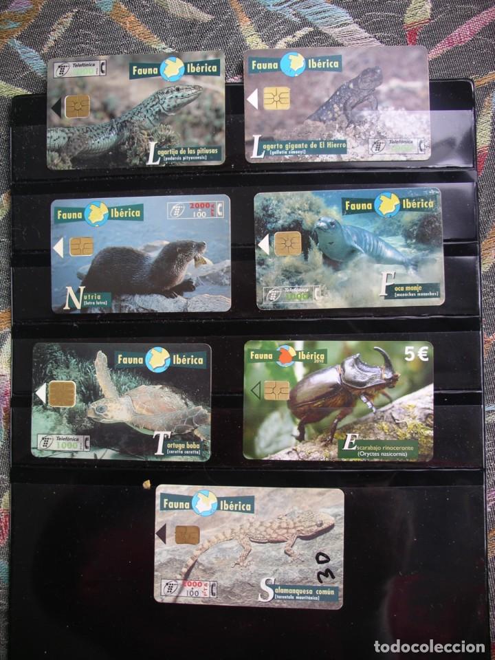 Tarjetas telef&oacute;nicas de colecci&oacute;n: Fauna diversa - Foto 1