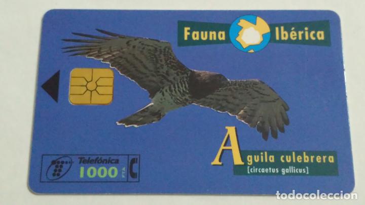 Tarjetas telef&oacute;nicas de colecci&oacute;n: TARJETA TELEFONICA - Foto 1