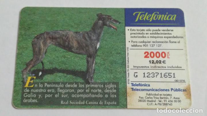 Tarjetas telef&oacute;nicas de colecci&oacute;n: TARJETA TELEFONICA - Foto 2