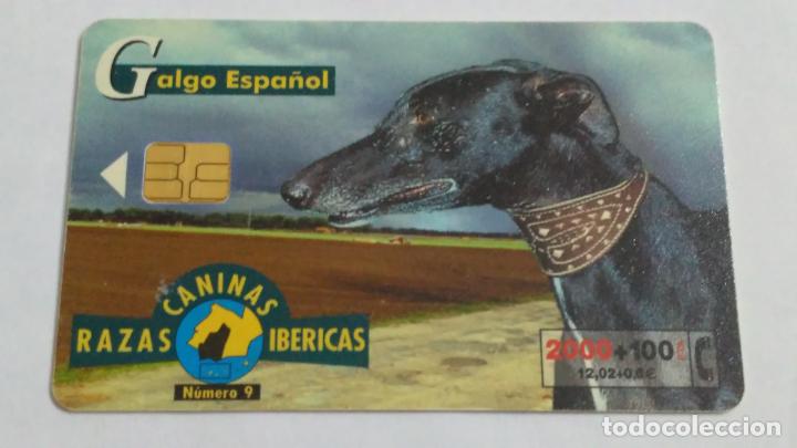 Tarjetas telef&oacute;nicas de colecci&oacute;n: TARJETA TELEFONICA - Foto 1