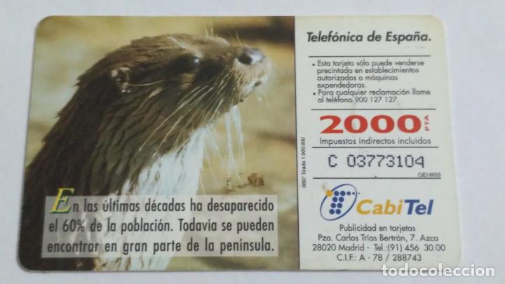 Tarjetas telef&oacute;nicas de colecci&oacute;n: TARJETA TELEFONICA - Foto 2