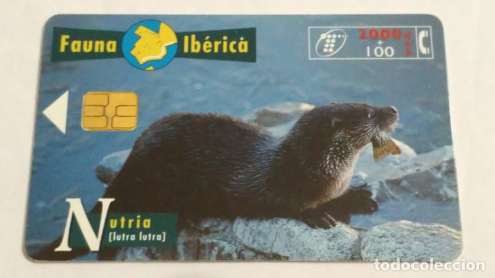 Tarjetas telef&oacute;nicas de colecci&oacute;n: TARJETA TELEFONICA - Foto 1