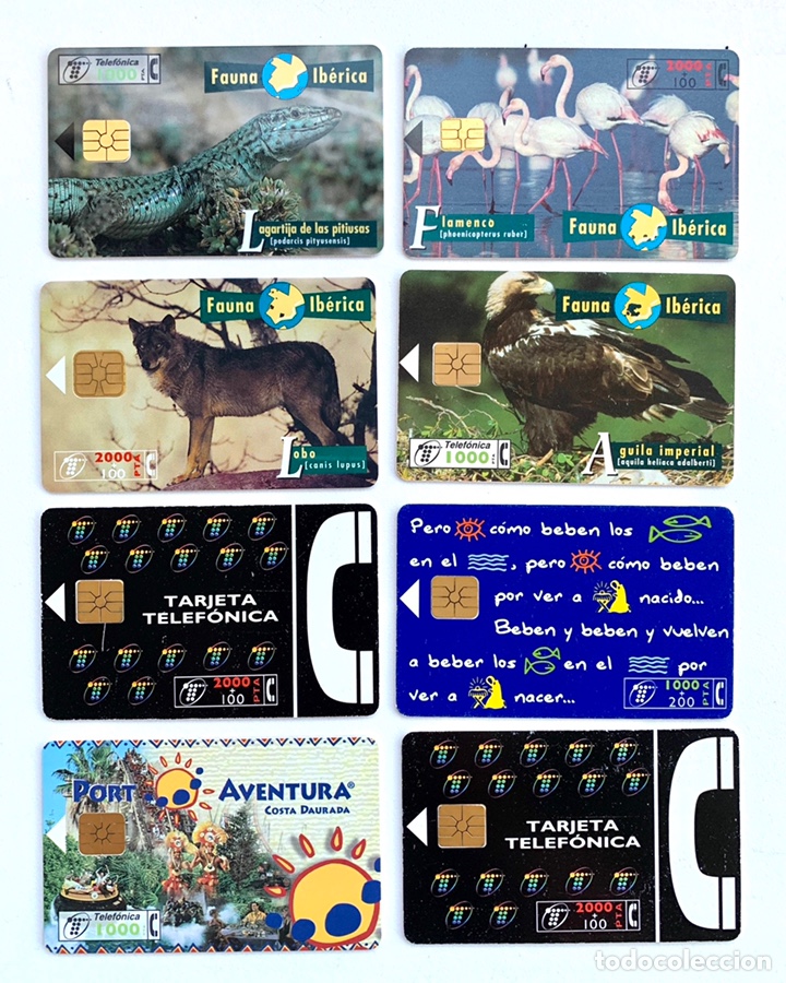 Tarjetas telef&oacute;nicas de colecci&oacute;n: 8 TARJETAS TELEF&Oacute;NICAS - Foto 1