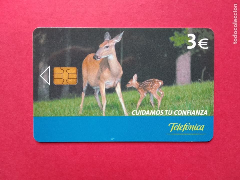 Cart&otilde;es de telefone de cole&ccedil;&atilde;o: TARGETA TELEFONICA USADA 2006 01/06 TIRADA 11500