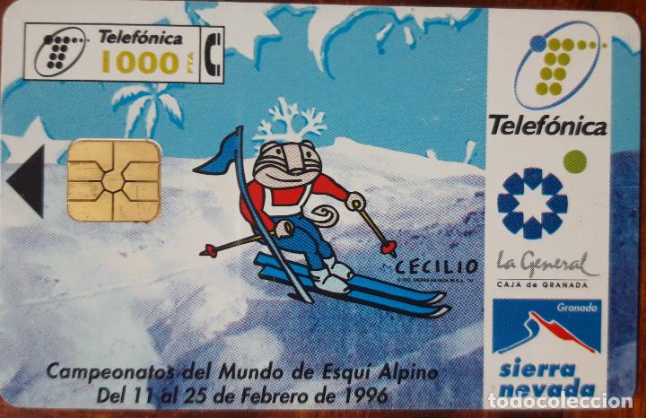 Tarjetas telef&oacute;nicas de colecci&oacute;n: TARJETA DE TELEFONICA - Foto 1