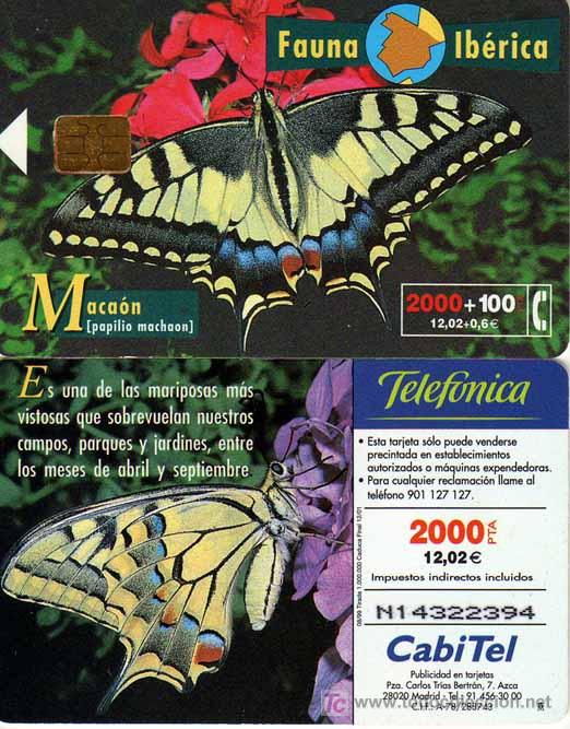 Tarjetas telef&oacute;nicas de colecci&oacute;n: TT USADA: 1999-08 MACA&Oacute;N - Foto 1